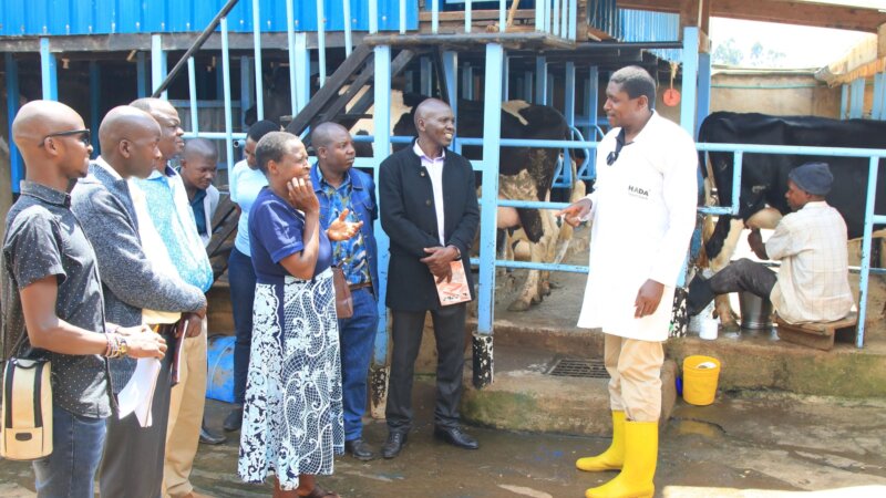 FORQLAB fosters farmers exchange to mitigate milk  losses