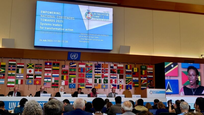 From UNFSS+2 to the national pathways