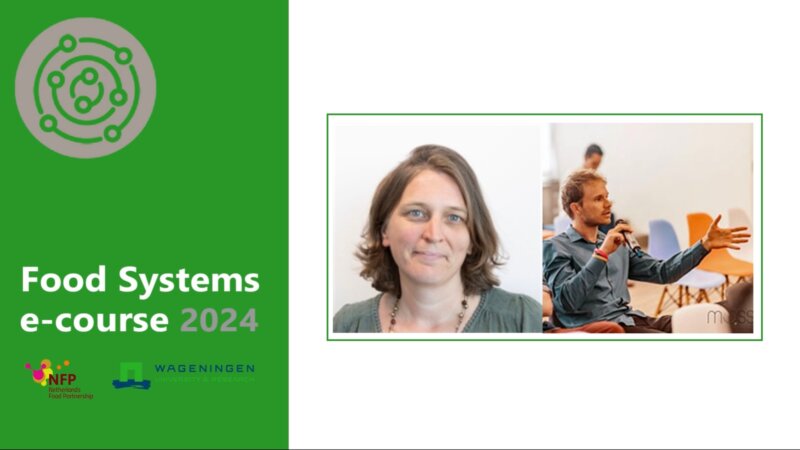 Webinar: The value of systems thinking in understanding food systems