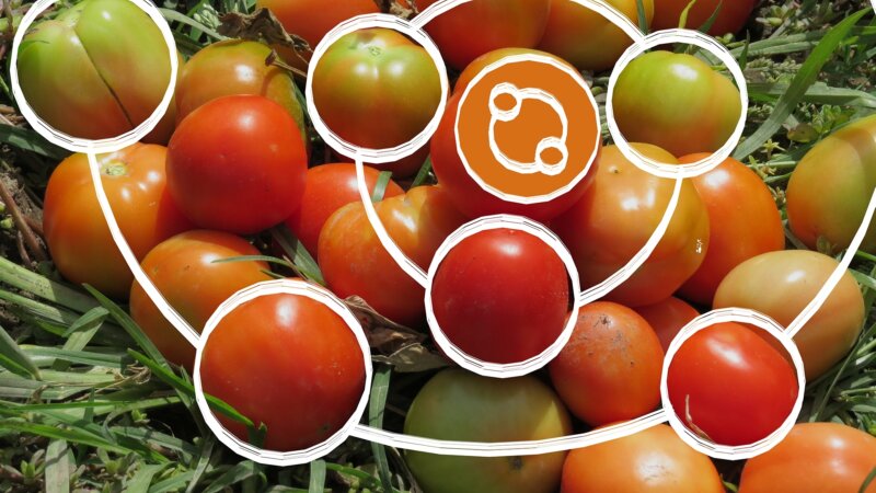 The 2024 food systems e-course takeaways